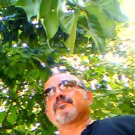 Turgay Yola